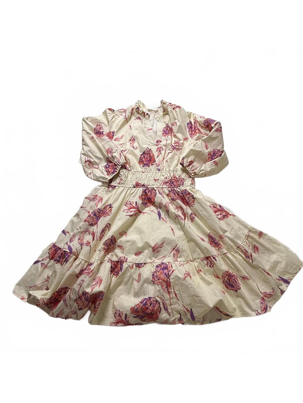 SHOP THE MINT SZ M Cream/Pink Floral Romantic CottageCore LongSleeve Vneck Dress
